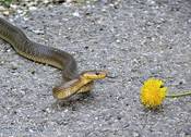 3937